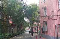 皂君廟丙4號院 皂君廟丙4號院