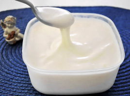 自製家用優酪乳 自製家用優酪乳