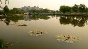 萌山風景旅遊區