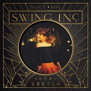 搖擺電力公司 搖擺電力公司