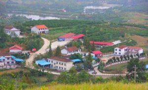 漢中市漢台區河東店鎮 漢中市漢台區河東店鎮