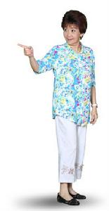 外來媳婦本地郎[2000年廣東廣播電視台出品的電視系列情景劇]