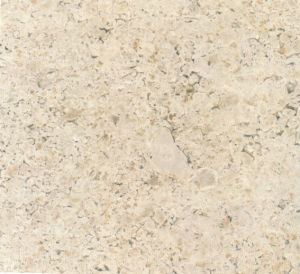 金香鑌 | Champagne Gold |