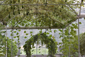 隧道式基培模式