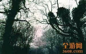 布里奇沃特三角地帶 布里奇沃特三角地帶