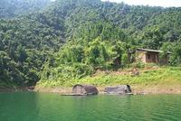 青獅潭水源林保護區 青獅潭水源林保護區