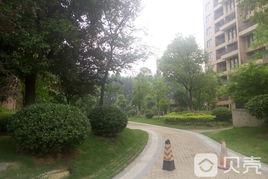 中國電科三十八所 中國電科三十八所