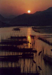 李建英[攝影師]