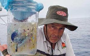 海里的垃圾被衝到了沙灘上