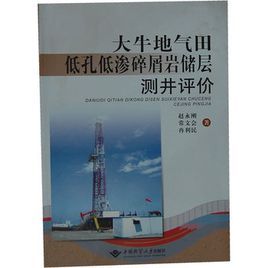 《大牛地氣田低孔低滲碎屑岩儲層測井評價》 《大牛地氣田低孔低滲碎屑岩儲層測井評價》