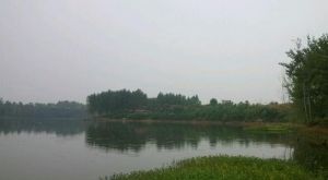 黃灣水庫 黃灣水庫