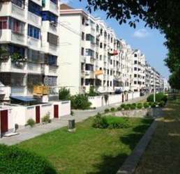 泰南新村 泰南新村