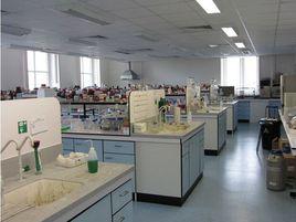 化學實驗探究 化學實驗探究