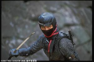 忍者武士[2001年日本電影]