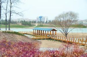 鄭州西流湖公園 鄭州西流湖公園