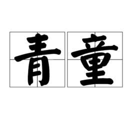 青童[詞語]