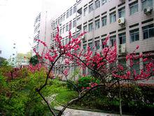 武漢市第十一中學