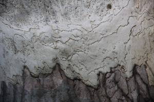 薛立漢“法桐取像”攝影之《江山如此多嬌》