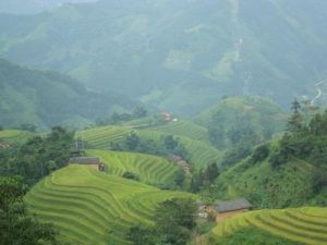 下格界自然村 下格界自然村