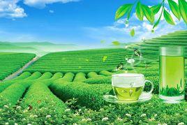 上海茶葉 上海茶葉