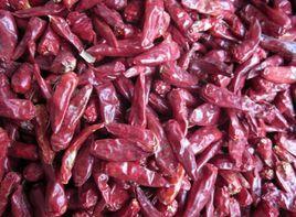 子彈頭辣椒 子彈頭辣椒