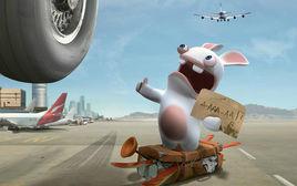 瘋狂兔子 瘋狂兔子