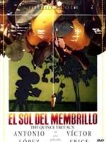 日光之夢 日光之夢