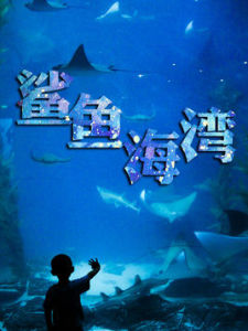 鯊魚海灣 鯊魚海灣