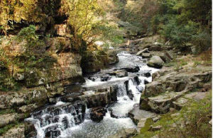 完達山國家森林公園 完達山國家森林公園