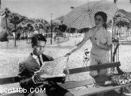 《十夜柔情》 《十夜柔情》