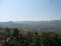 香椿樹自然村 香椿樹自然村