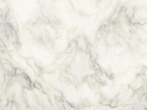 江山如畫---X1PT8002-12H