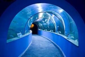 蘇州海洋館 蘇州海洋館