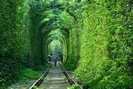 南京愛情隧道 南京愛情隧道