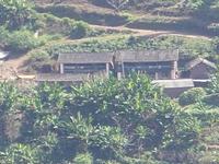 棉花林自然村 棉花林自然村