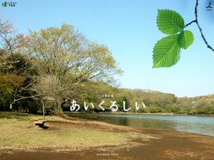 牽絆的愛 牽絆的愛