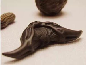 張江腰菱 張江腰菱