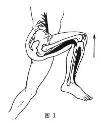 運動動作的解剖學分析 運動動作的解剖學分析