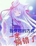 我穿越的方式一定搞錯了 我穿越的方式一定搞錯了