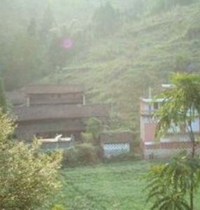 水井灣村 水井灣村