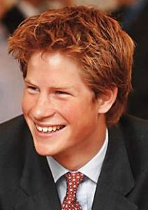 哈里獵手 哈里獵手