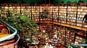 盧加爾·德拉曼查書店 盧加爾·德拉曼查書店