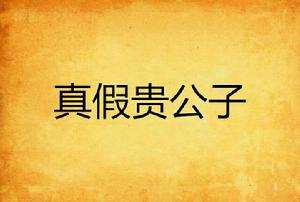 真假貴公子 真假貴公子