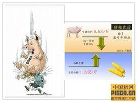 生豬價格指數保險 生豬價格指數保險
