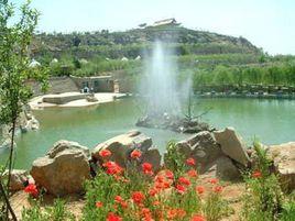 巨野金山旅遊區