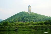 大菩提寺 大菩提寺