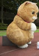 喵[2016年拍攝電影]