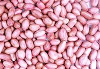 “花生米”[食物]