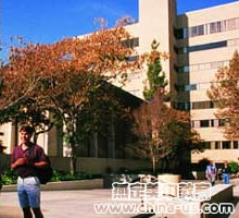 南加州大學