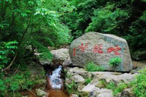 白茶谷九龍峽 白茶谷九龍峽